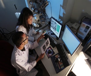 imagen Becas para la ampliación de estudios posdoctorales de Ciencias en el extranjero